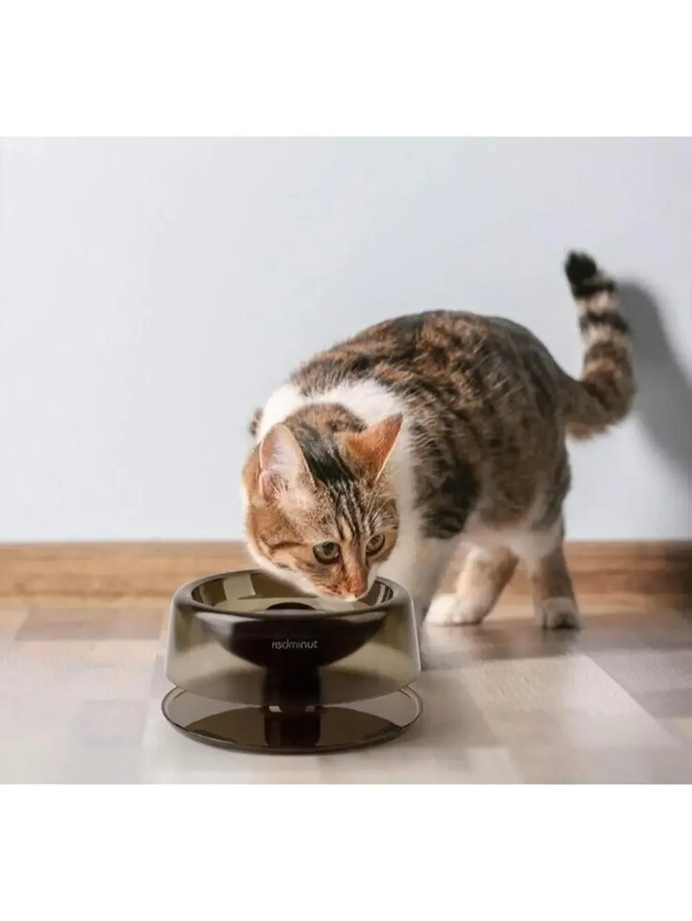 Raised Tilted Cat Food Bowl – Non-Slip, Anti-Vomiting, Whisker-Friendly, New